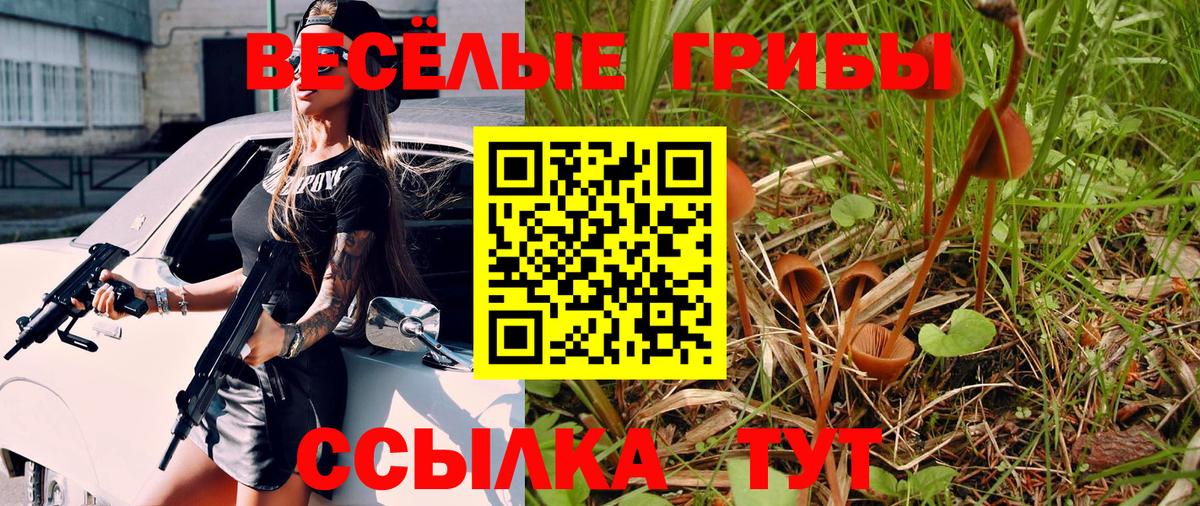 Галлюциногенные грибы прущие грибы Ярцево