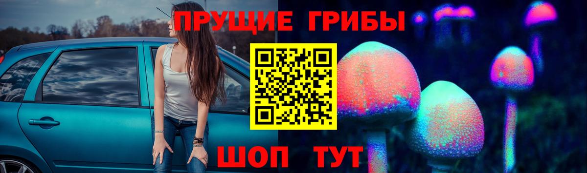 Ярцево  Псилоцибиновые грибы Psilocybe  Вход с VPN  Галлюциногенные грибы Psilocybine cubensis 